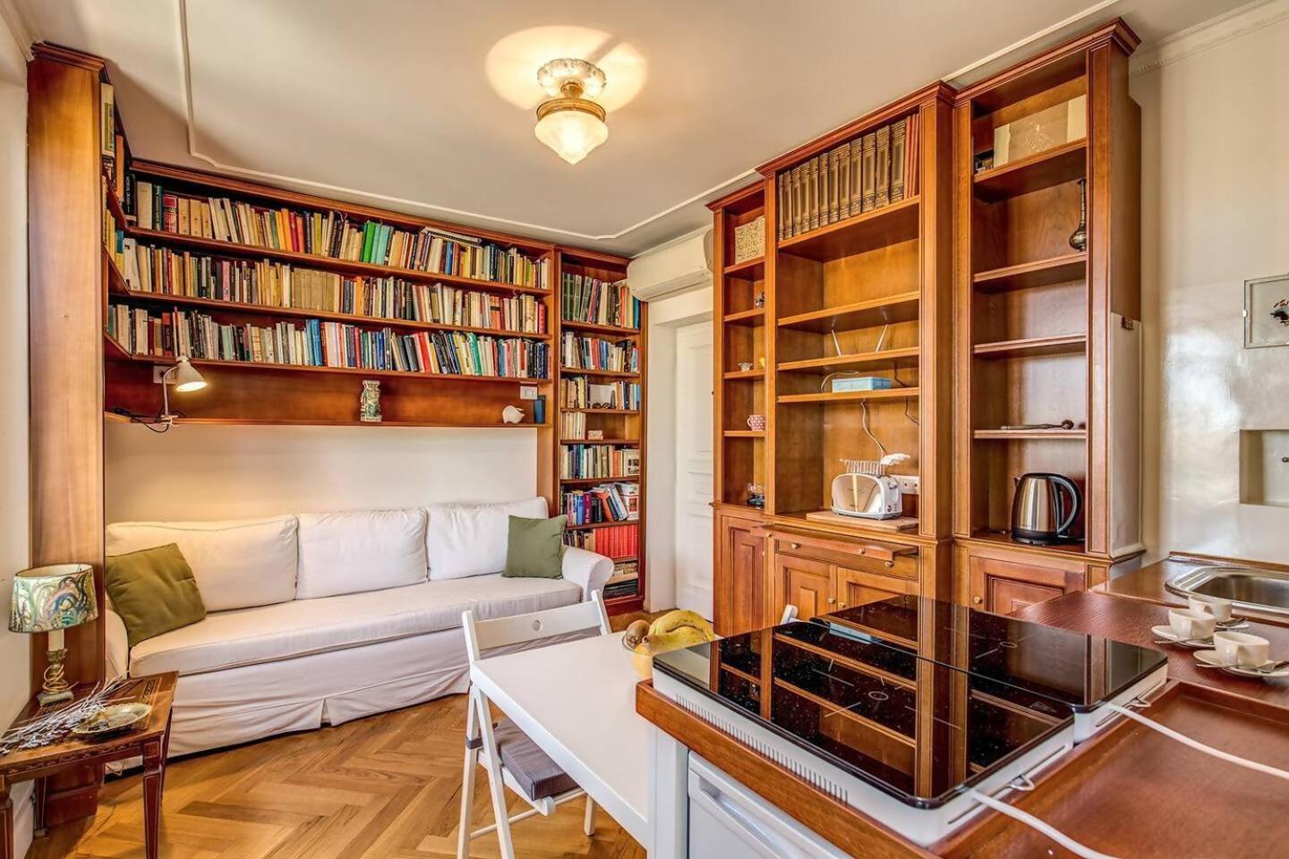 Attic With Terrace Overlooking St Peters Basilica 罗马 外观 照片